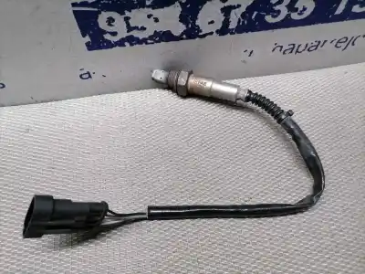Peça sobressalente para automóvel em segunda mão sonda lambda por lancia musa (184) 1.4 cat referências oem iam   