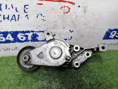 İkinci el araba yedek parçası YARDIMCI KAYIS GERGI için VOLKSWAGEN GOLF IV BERLINA (1J1)  OEM IAM referansları 038903315K  038903315K