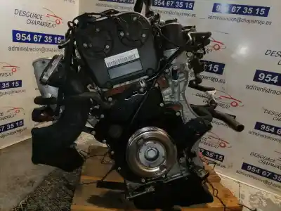 Peça sobressalente para automóvel em segunda mão motor completo por audi a4 a4 limousine referências oem iam dlv  dlv