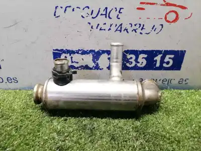 Pezzo di ricambio per auto di seconda mano raffreddatore egr per ford focus c-max (cap) trend (d) riferimenti oem iam 9646762280  9646762280