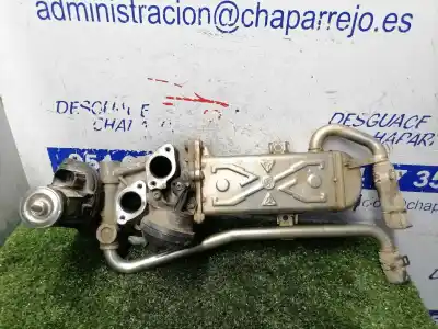 Peça sobressalente para automóvel em segunda mão radiador de gases de escape por seat ibiza (6j5) reference referências oem iam 03l131512as