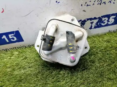 Peça sobressalente para automóvel em segunda mão Radiador De óleo Do Motor por MAZDA 6 LIM. (GH) (.2012->) 2.2 Turbodiesel CAT Referências OEM IAM   