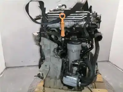 Peça sobressalente para automóvel em segunda mão MOTOR COMPLETO por SEAT IBIZA (6L1) (04.2002->) 1.4 Cool [1.4 Ltr. - 51 kW TDI CAT (BNM)] Referências OEM IAM BNM  