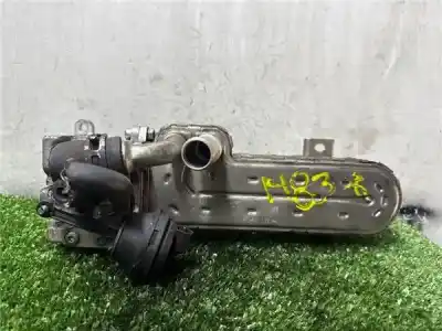 Peça sobressalente para automóvel em segunda mão Radiador De Gases De Escape (egr) por SEAT TOLEDO (5P2) 2.0 TDI 16V Referências OEM IAM 038131513J  038131513J