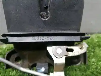 Peça sobressalente para automóvel em segunda mão fechadura do mala por audi a3 (8l) 1.9 tdi ambiente referências oem iam 8l0827520c  8l0827520c