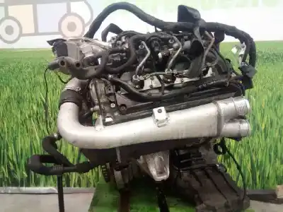 Peça sobressalente para automóvel em segunda mão motor completo por audi a6 berlina (4f2) 3.0 tdi quattro (165kw) referências oem iam bmk  