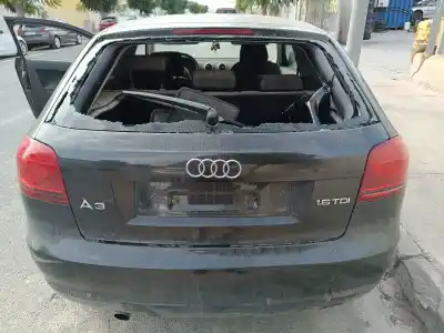 Peça sobressalente para automóvel em segunda mão porta da mala / tampa traseira por audi a3 (8p) 1.6 tdi ambiente referências oem iam 