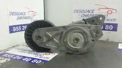 Pièce détachée automobile d'occasion tendeur de courroie auxiliaire pour peugeot 406 berlina (s1/s2) sl références oem iam   