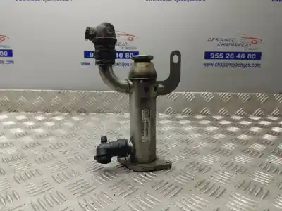 Автозапчасти б/у ОХЛАДИТЕЛЬ ВЫХЛОПНЫХ ГАЗОВ за LANCIA PHEDRA (180)  ссылки OEM IAM 9645689780  