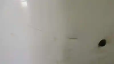 Peça sobressalente para automóvel em segunda mão capot por dacia logan ambiance referências oem iam   