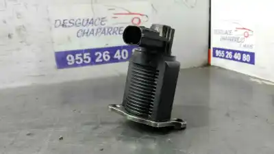 Автозапчасти б/у клапан рог за RENAULT KANGOO (F/KC0) Alize ссылки OEM IAM 53623012  