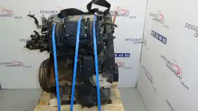 Peça sobressalente para automóvel em segunda mão motor completo por seat ibiza (6k) 1.4 referências oem iam apq  