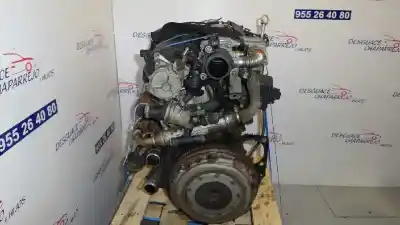 Pezzo di ricambio per auto di seconda mano motore completo per fiat stilo (192) 1.9 jtd / 1.9 jtd 115 active riferimenti oem iam 192a1000  