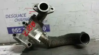 Peça sobressalente para automóvel em segunda mão radiador de gases de escape por fiat stilo (192) 1.9 120 dynamic multijet referências oem iam 55215029  