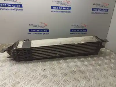 Peça sobressalente para automóvel em segunda mão intercooler por renault laguna iii authentique referências oem iam 