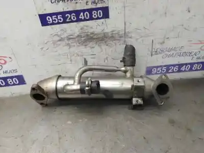 Recambio de automóvil de segunda mano de ENFRIADOR DE GASES para FORD MONDEO BERLINA (GE)  referencias OEM IAM 1C1Q9F464AD  