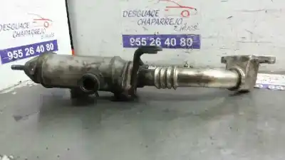 Peça sobressalente para automóvel em segunda mão radiador de gases de escape por kia carnival ii 2.9 crdi cat referências oem iam   