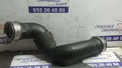 İkinci el araba yedek parçası TÜP için MERCEDES-BENZ CLASE C (W203) BERLINA  OEM IAM referansları A2035281782  