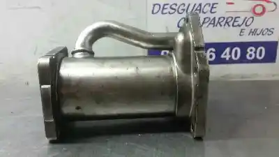 Автозапчасти б/у ОХЛАДИТЕЛЬ ВЫХЛОПНЫХ ГАЗОВ за RENAULT SCENIC II  ссылки OEM IAM 8200545260  