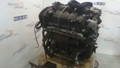 Pezzo di ricambio per auto di seconda mano MOTORE COMPLETO per FIAT STILO (192)  Riferimenti OEM IAM 192A3000  