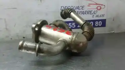 Pezzo di ricambio per auto di seconda mano raffreddatore gas di scarico per fiat strada (278) riferimenti oem iam 