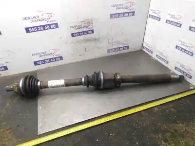 Second-hand car spare part front right transmission for ford focus berlina (cap) ambiente (d) oem iam references 3m513b436dad