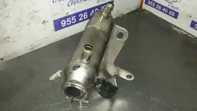 Автозапчасти б/у охладитель выхлопных газов за fiat stilo (192) 1.9 jtd / 1.9 jtd 115 active ссылки oem iam 46810017  