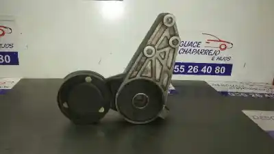 Peça sobressalente para automóvel em segunda mão ESTICADOR DE CORREIA por AUDI A6 BERLINA (4B2)  Referências OEM IAM 058903133  
