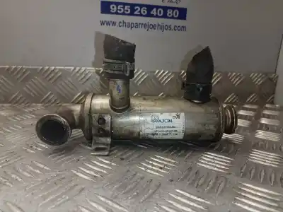 Автозапчасти б/у охладитель рог за FORD C-MAX (CB3) Ambiente ссылки OEM IAM 3M5Q9F464BC  