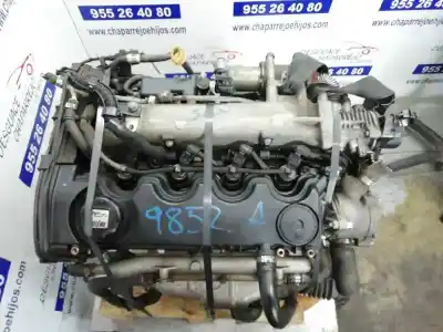 Peça sobressalente para automóvel em segunda mão motor completo por fiat stilo (192) 1.9 jtd / 1.9 jtd 115 active referências oem iam 192a1000  