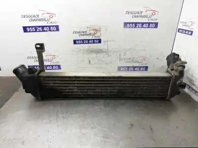 Pezzo di ricambio per auto di seconda mano intercooler per renault kangoo (f/kc0) alize riferimenti oem iam   