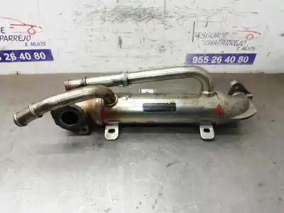 Peça sobressalente para automóvel em segunda mão radiador de gases de escape por skoda superb (3u4) classic referências oem iam 