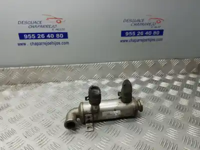 Recambio de automóvil de segunda mano de ENFRIADOR DE GASES para PEUGEOT 307 BREAK / SW (S1)  referencias OEM IAM 9646762280  