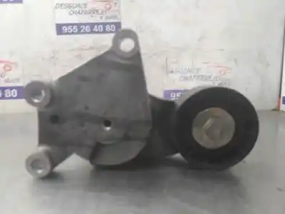 Pezzo di ricambio per auto di seconda mano tendicinghia ausiliaria per citroen c3 sx riferimenti oem iam   