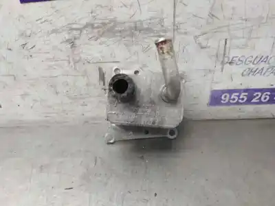 Peça sobressalente para automóvel em segunda mão Radiador De óleo Do Motor por FORD FOCUS BERLINA (CAK) Ambiente Referências OEM IAM YS6Q6A642BA  