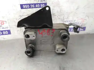 Автозапчастина б/у охолодження мотору для AUDI A8 (4E2) 3.0 TDI Quattro Посилання на OEM IAM 4E0317021E  