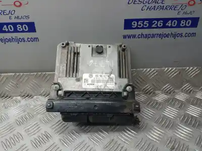 Recambio de automóvil de segunda mano de CENTRALITA MOTOR UCE para SEAT IBIZA (6J5)  referencias OEM IAM 03G906013K  