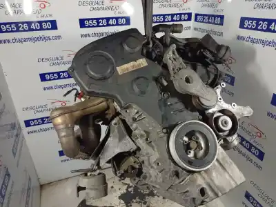 Pezzo di ricambio per auto di seconda mano motore completo per audi a4 berlina (8e) 2.0 riferimenti oem iam alt  