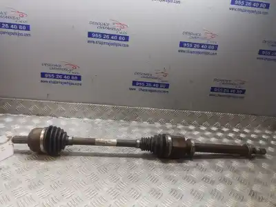 İkinci el araba yedek parçası ÖN SAG SANZIMAN için RENAULT MEGANE III BERLINA 5 P  OEM IAM referansları 391003112R  