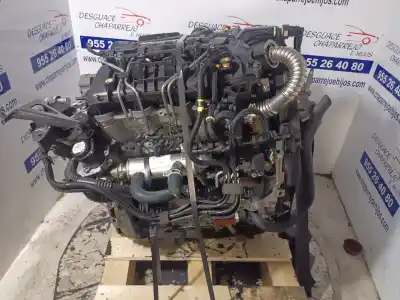 Автозапчасти б/у полный двигатель за ford focus lim. (cb4) titanium ссылки oem iam g8db  