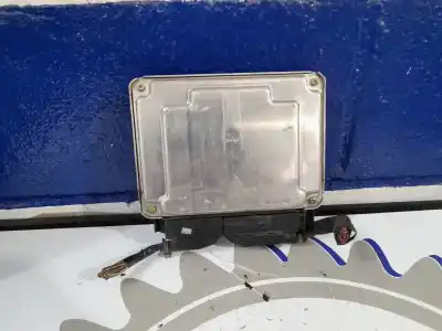 Автозапчастина б/у ебу контролер двигуна для seat leon (1m1) 1.9 tdi посилання на oem iam 038906012bs  