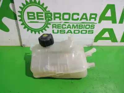 Автозапчастина б/у розширення депозит для renault scenic iii xmod bose посилання на oem iam 217100005r  