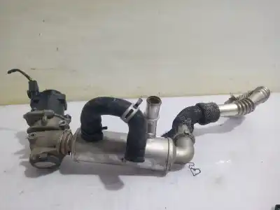 Peça sobressalente para automóvel em segunda mão radiador de gases de escape (egr) por ford focus lim. (cb4) business referências oem iam 1497378