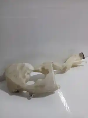 Second-hand car spare part windscreen washer bottle for mini mini (r56) one oem iam references 61667368642  