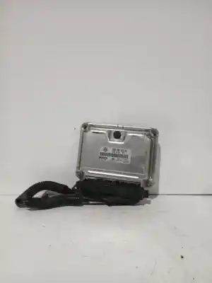 Pezzo di ricambio per auto di seconda mano CENTRALINA MOTORE per VOLKSWAGEN POLO (9N_, 9A_) 1.9 SDI Riferimenti OEM IAM 038906012HL  