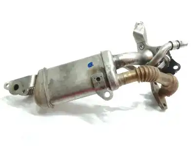 Pezzo di ricambio per auto di seconda mano raffreddatore egr per renault kangoo profesional riferimenti oem iam   