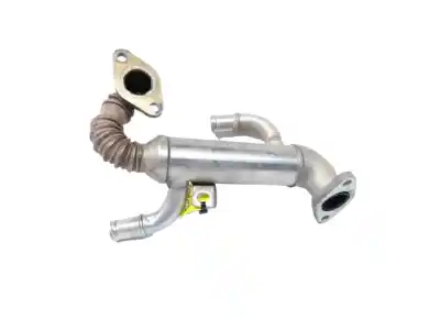 Pezzo di ricambio per auto di seconda mano raffreddatore egr per seat ibiza (6l1) reference riferimenti oem iam 045131513l