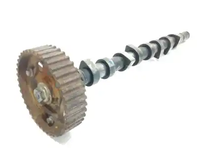 İkinci el araba yedek parçası EKSANTRIK MILI için RENAULT KANGOO (F/KC0)  OEM IAM referansları 894718109  