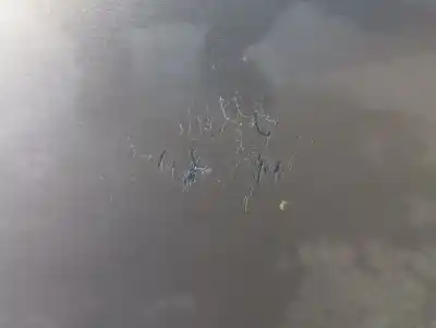 Second-hand car spare part tailgate for seat toledo (5p2) reference oem iam references   