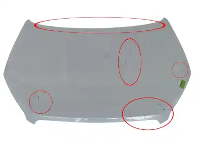 Tweedehands auto-onderdeel KAP voor NISSAN QASHQAI / QASHQAI +2 I (J10, NJ10, JJ10E)  OEM IAM-referenties F5100BR0MC  
